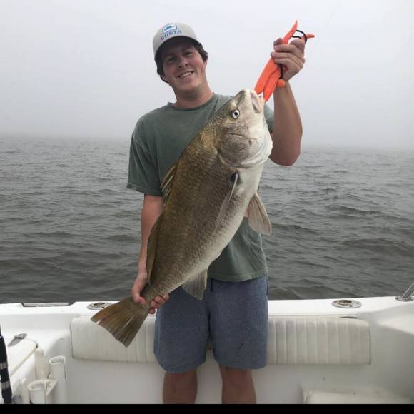 Meet your Posher, Joshua - Picture 1 of 1